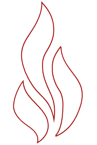 FireGold - Dusan Swalens, DiS.